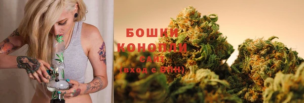 ГАЛЛЮЦИНОГЕННЫЕ ГРИБЫ Строитель