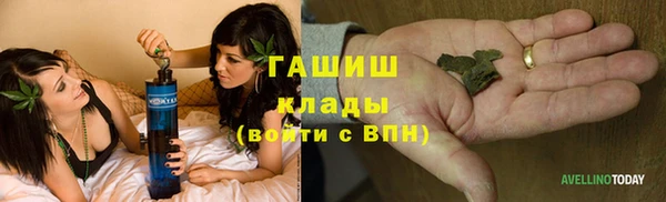 ГАЛЛЮЦИНОГЕННЫЕ ГРИБЫ Строитель