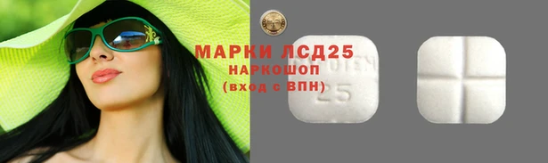 ГАЛЛЮЦИНОГЕННЫЕ ГРИБЫ Строитель