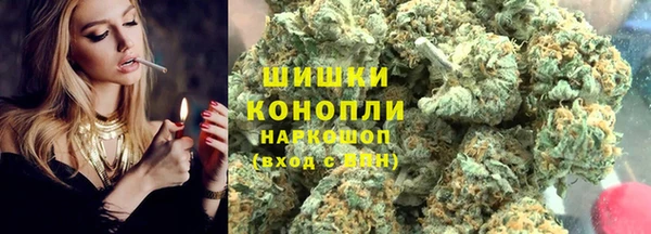 ГАЛЛЮЦИНОГЕННЫЕ ГРИБЫ Строитель