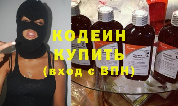 ГАЛЛЮЦИНОГЕННЫЕ ГРИБЫ Строитель