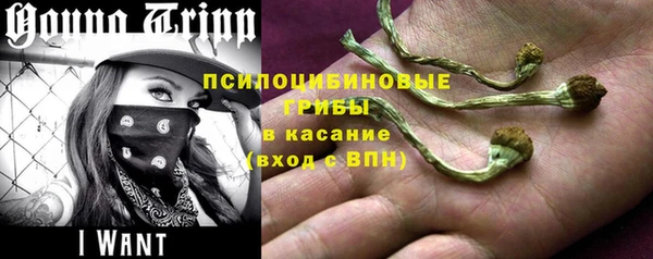гашик Ступино