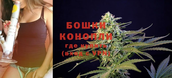 гашик Ступино