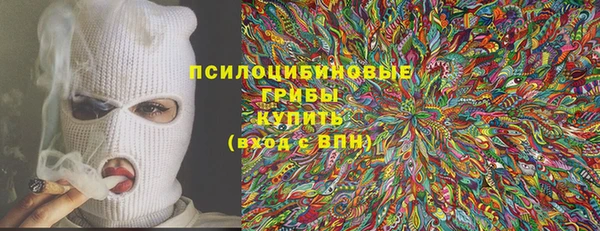 ГАЛЛЮЦИНОГЕННЫЕ ГРИБЫ Строитель