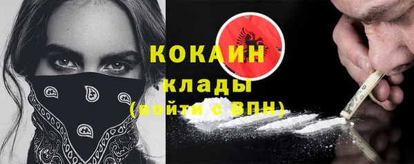 ГАЛЛЮЦИНОГЕННЫЕ ГРИБЫ Строитель