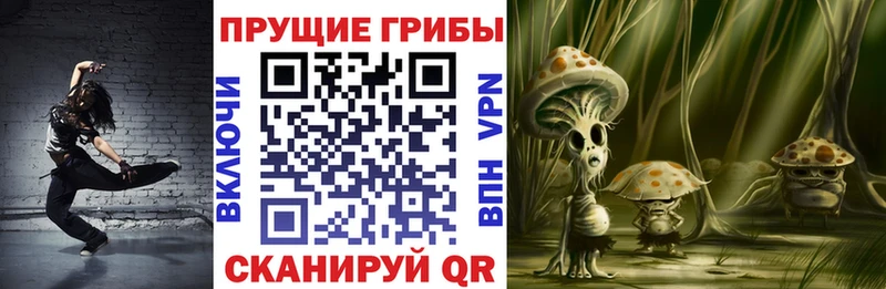 Галлюциногенные грибы мицелий Шатура
