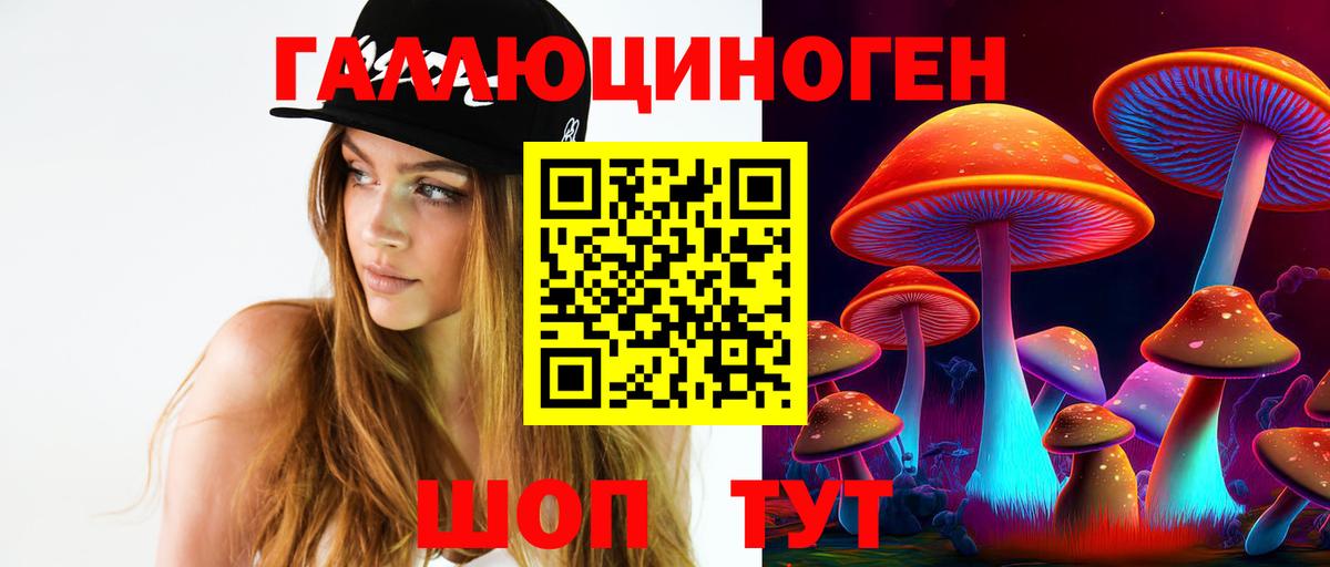 Псилоцибиновые грибы Magic Shrooms  Вход с VPN  Шатура 